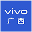 vivo智能手機公司