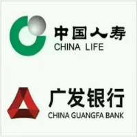 中國人壽保險(xiǎn)股份公司北海分公司（張嘉林）